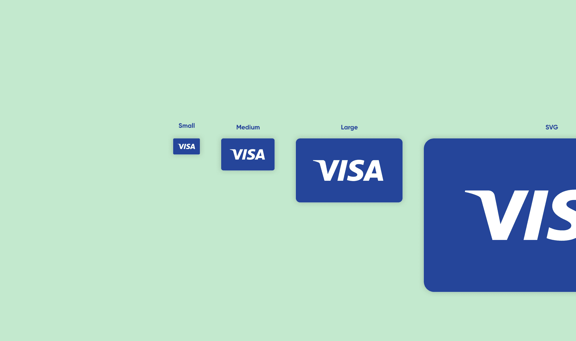 Visa card logo icon shown at small, medium, large and SVG sizes